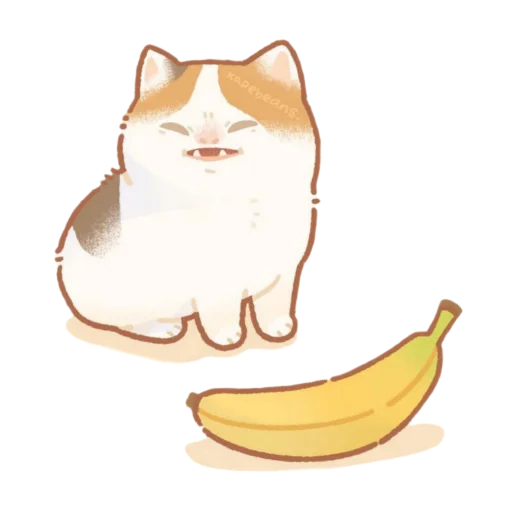 банан фрукт кошка
