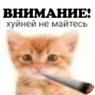 Sticker Котеки - 0