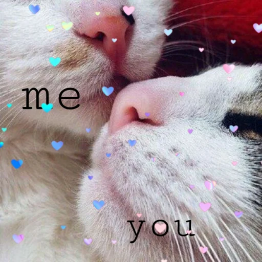Блюмка ❤️ Блюмка ❤️ -