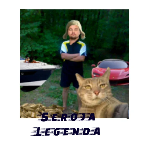 Kotyra Kotyra -