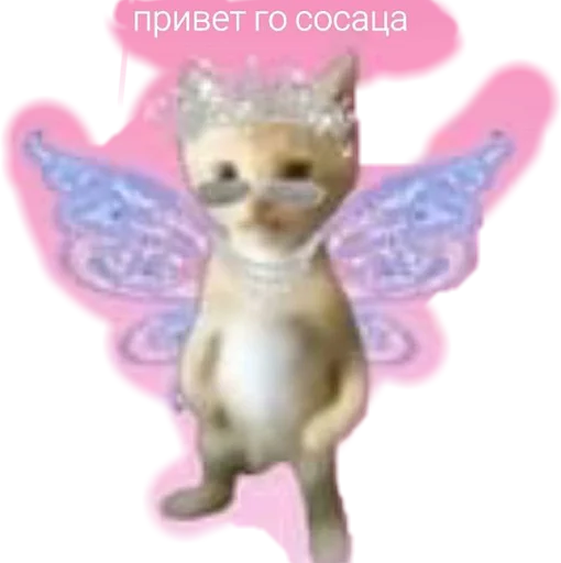 ❤❤❤ ❤❤❤ -