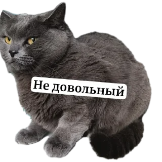 Sticker Крутые стикеры - 0