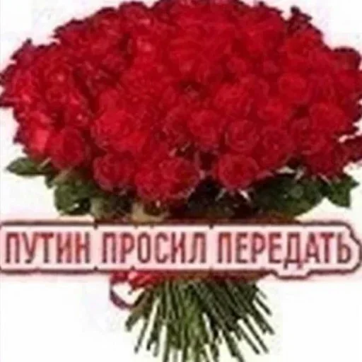 Больше стиков тут: @stikery4 Больше стиков тут: @stikery4 -