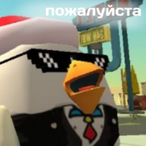 Кур кур сеня