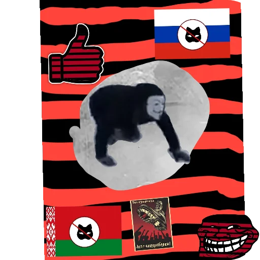 Квд кринш Квд кринш -