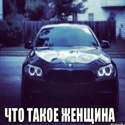 кулебяка кулебяка -