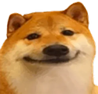 Sticker [LF] PGR Discord - 5