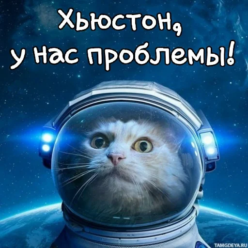 Лиза пак Лиза пак -
