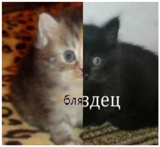 Стикеры тут: @stikeryv Стикеры тут: @stikeryv -