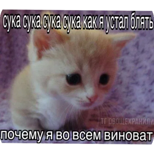 @sticksbb <— больше стиков💓💘💞 @sticksbb <— больше стиков💓💘💞 -