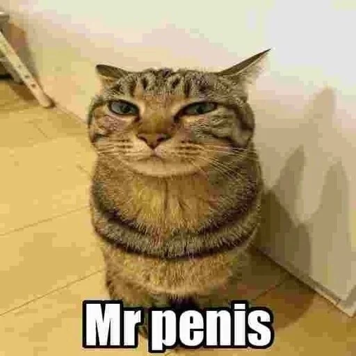 Mr penis Mr penis -