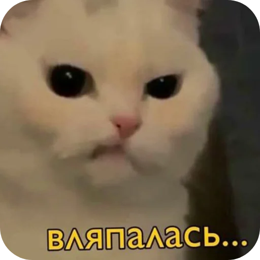 ЛеночкаМуррр ЛеночкаМуррр -