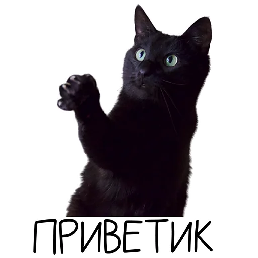 Лента Добра х Vetland Adoption (@dobrayalenta @vetland_adoption) Лента Добра х Vetland Adoption (@dobrayalenta @vetland_adoption) -