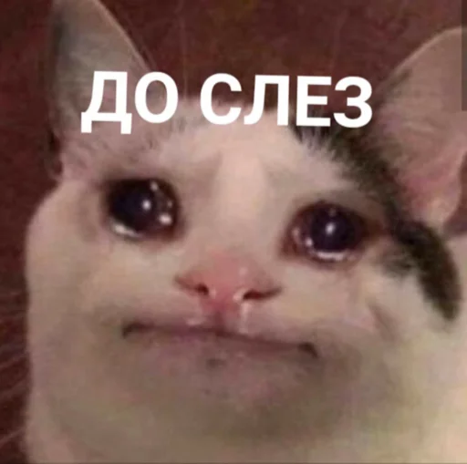 Жызнь Жызнь -