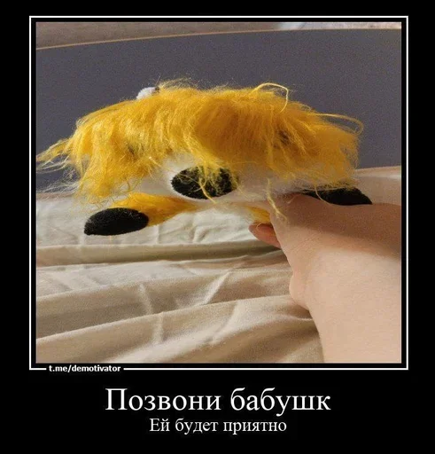 🦊 🦊 -