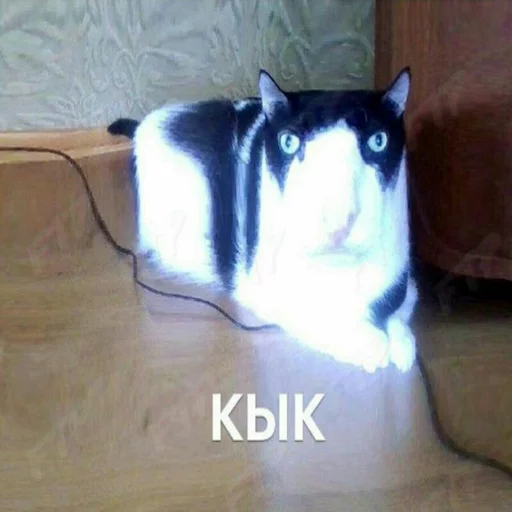KыK pack KыK pack -