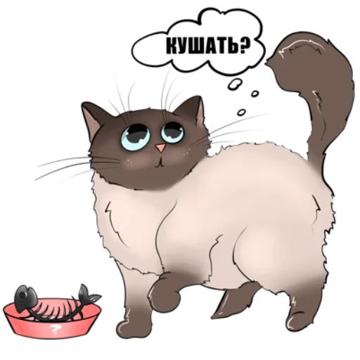 TUTSI THE CAT TUTSI THE CAT -