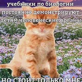 Sticker Больше стиков тут: @stikery4 - 3