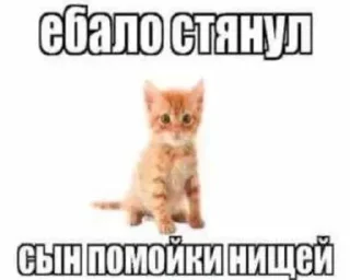 Sticker Больше стиков тут: @stikery4 - 10