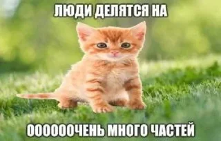 Sticker Больше стиков тут: @stikery4 - 6