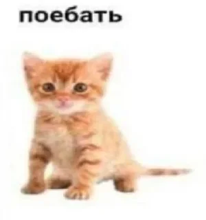 Sticker Больше стиков тут: @stikery4 - 1
