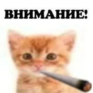 Sticker Больше стиков тут: @stikery4 - 2
