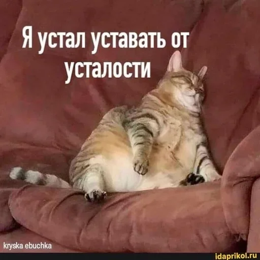 Рррвууу :: @fStikBot Рррвууу :: @fStikBot - mammal