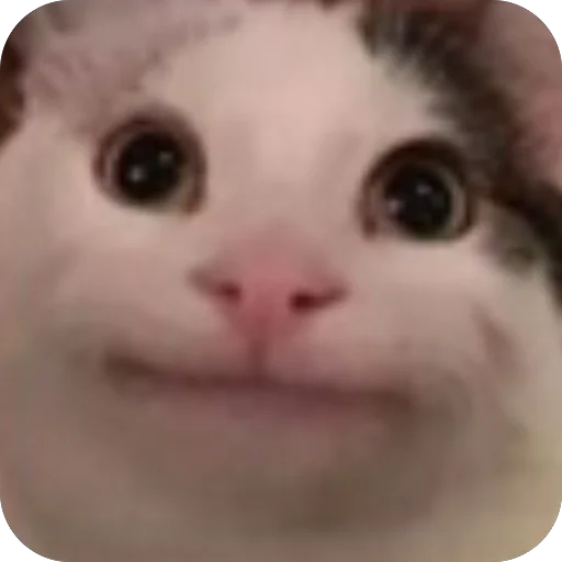 Лоле Лоле -
