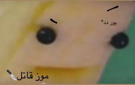𝓑𝔂" @LollyGif|@LollySticker "🍌🪤 𝓑𝔂" @LollyGif|@LollySticker "🍌🪤 -