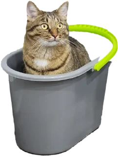 Sticker Лосось - 1 Sticker Лосось - 1