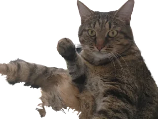 Sticker Лосось - 2 Sticker Лосось - 2
