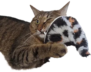 Sticker Лосось - 11 Sticker Лосось - 11