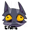 Кот Лёня Кот Лёня -