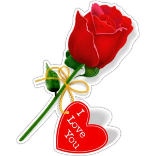 @LoveoopS : Flowers @LoveoopS : Flowers - flower