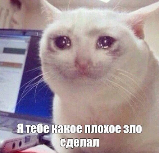 Лудшие Лудшие -