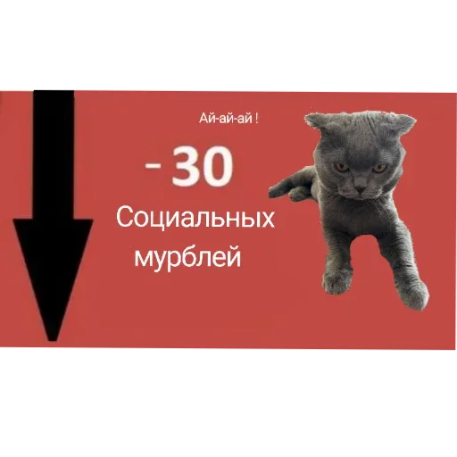 Любимый Кот Мурик Любимый Кот Мурик -