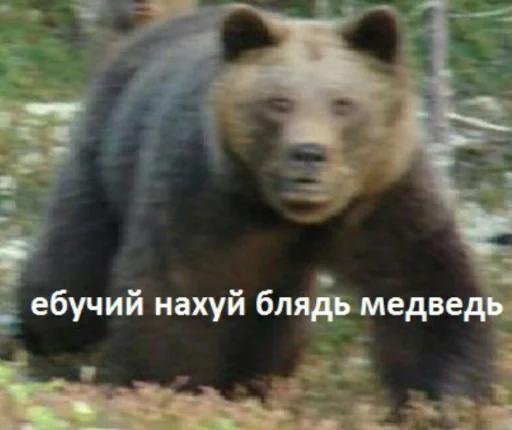 0LzQtdC80Ysv 0LzQtdC80Ysv -