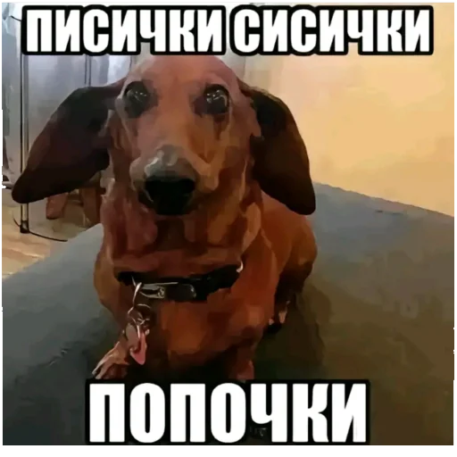 Мемы тиктака Мемы тиктака -