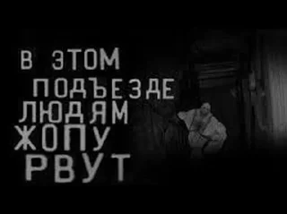 Стикер МГЕ кабачковый лес • @DayStikBot - 0