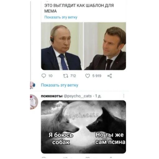 Стикер Макрон - 5
