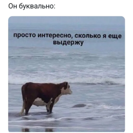 Стикер Макрон - 2