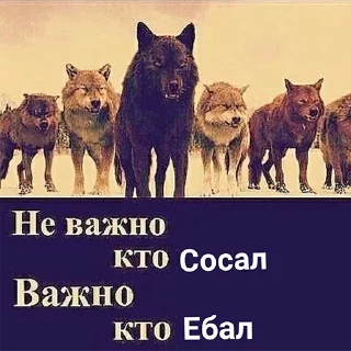 Sticker Согласны? Узнали? @StickersPackRobot - 10