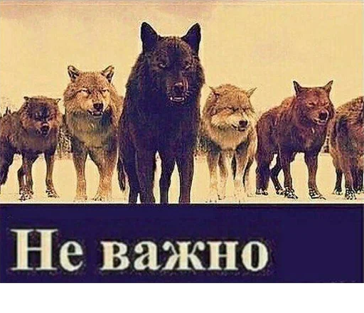 Согласны? Узнали? @StickersPackRobot Согласны? Узнали? @StickersPackRobot -