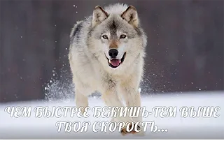 Sticker Согласны? Узнали? @StickersPackRobot - 3