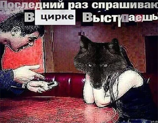 Sticker Согласны? Узнали? @StickersPackRobot - 2