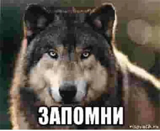 Sticker Согласны? Узнали? @StickersPackRobot - 5