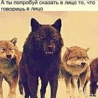 Sticker Согласны? Узнали? @StickersPackRobot - 1
