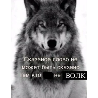 Sticker Согласны? Узнали? @StickersPackRobot - 4