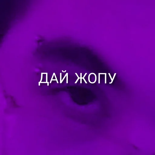 violet violet purple magenta