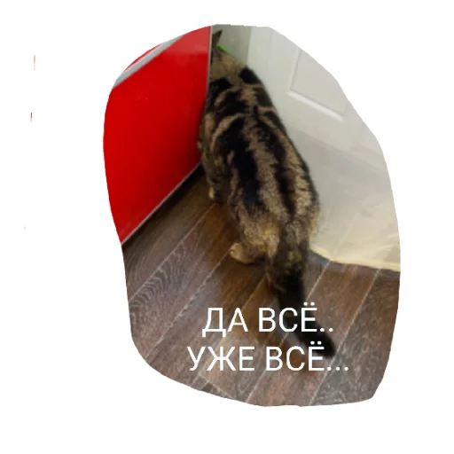 МамбаЧат МамбаЧат -